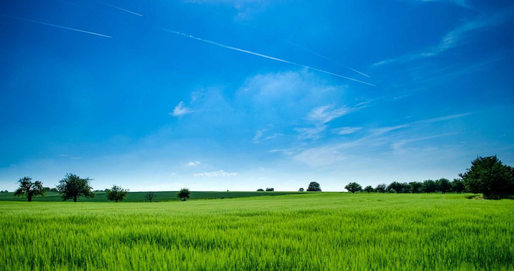 Landscape view of green meadow with blue sky